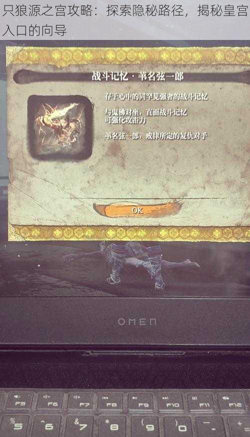 只狼源之宫攻略:探索隐秘路径,揭秘皇宫入口的向导