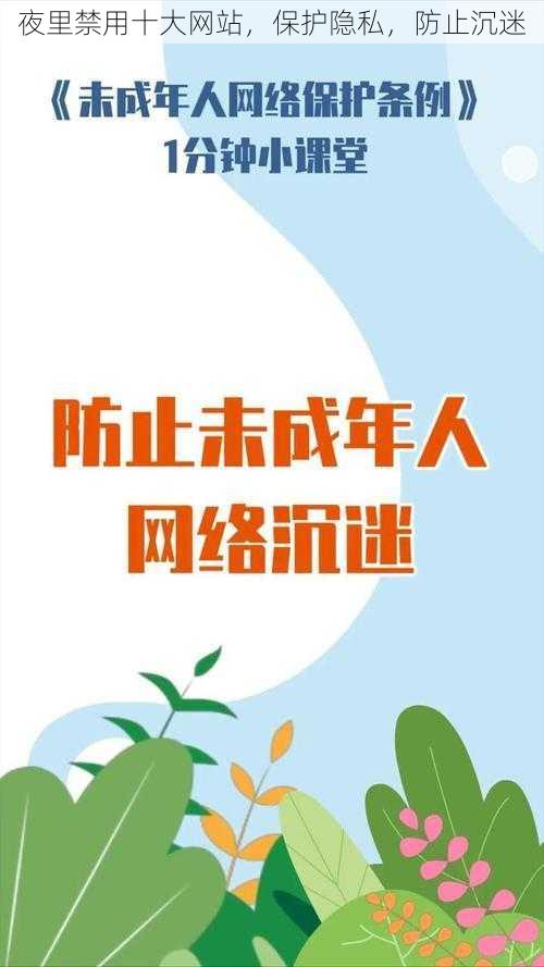 夜里禁用十大网站,保护隐私,防止沉迷