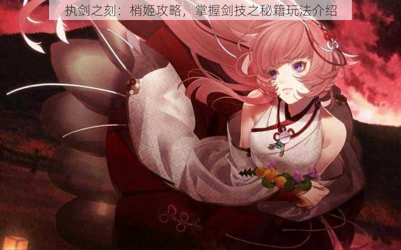执剑之刻:梢姬攻略,掌握剑技之秘籍玩法介绍